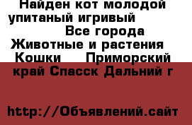 Найден кот,молодой упитаный игривый 12.03.2017 - Все города Животные и растения » Кошки   . Приморский край,Спасск-Дальний г.